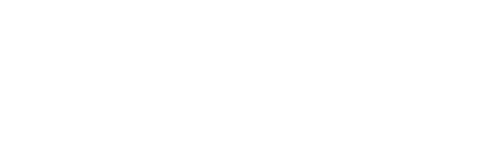 asset 5